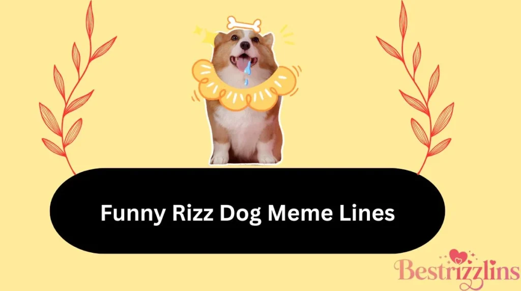 Funny Rizz Dog Meme Lines
