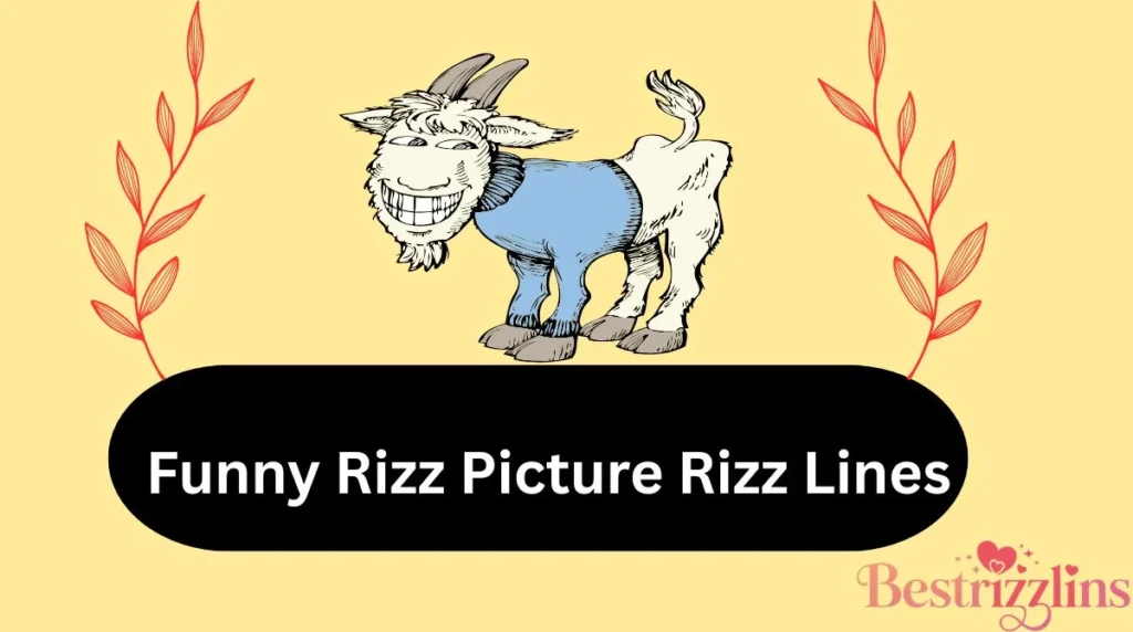 Funny Rizz Picture Rizz Lines